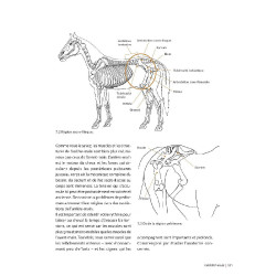 Masser son cheval 2ème édition Edition Vigot