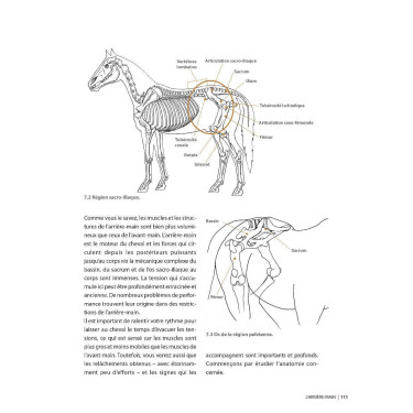 Masser son cheval 2ème édition Edition Vigot