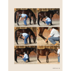 Masser son cheval 2ème édition Edition Vigot