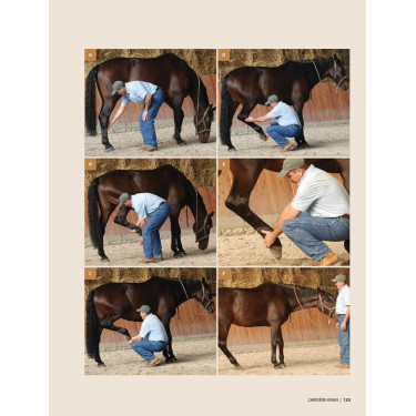 Masser son cheval 2ème édition Edition Vigot