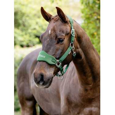 Licol Vogue LeMieux détachable Vert hunter