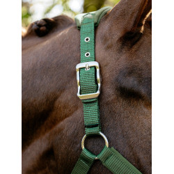 Licol Vogue LeMieux détachable Vert hunter