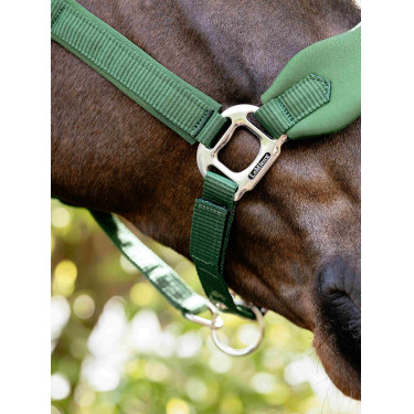 Licol Vogue LeMieux détachable Vert hunter