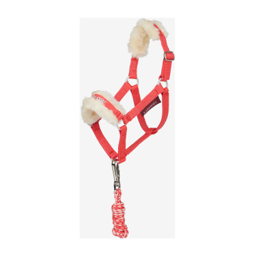 Longe et licol Hobby Horse LeMieux Harlow Coral Crush