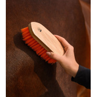 Brosse à crins Waldhausen Orangé Bleu