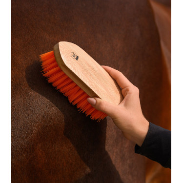 Brosse à crins Waldhausen Orangé Bleu