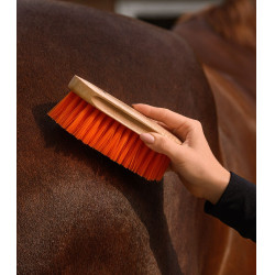 Brosse à crins Waldhausen Orangé Bleu