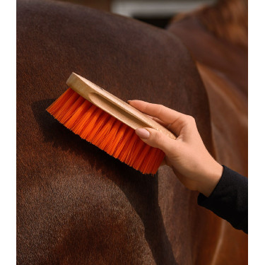 Brosse à crins Waldhausen Orangé Bleu
