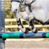 Guêtres LeMieux Junior Pro Noir Guêtres LeMieux Junior Pro Noir