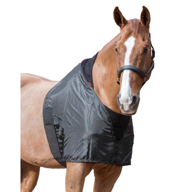 Protection d'épaules Lemieux - Equipement cheval