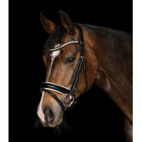 Bridon Evermore X-Line Waldhausen Noir / noir Bridon Evermore X-Line Waldhausen Noir / noir