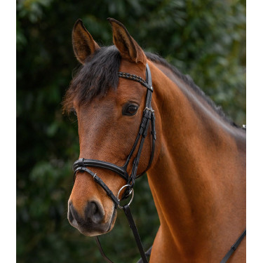 Frontal Waldhausen X-Line Braided Noir