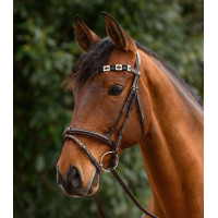 Frontal Waldhausen X-Line Polo marron Noir / beige