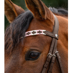 Frontal Waldhausen X-Line Polo marron Rose / beige