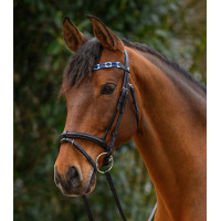 Frontal Waldhausen X-Line Polo noir Bleu / bleu clair