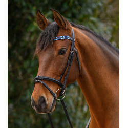Frontal Waldhausen X-Line Polo noir Bleu / bleu clair