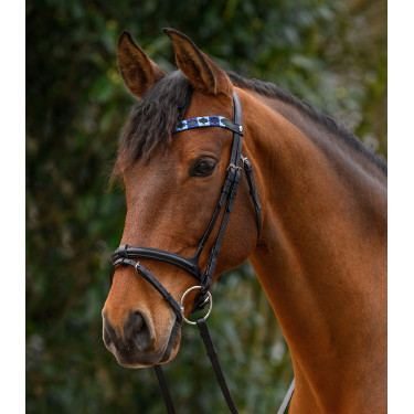 Frontal Waldhausen X-Line Polo noir Bleu / bleu clair