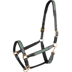 Licol en cuir Oxford X-Line Waldhausen noir Vert