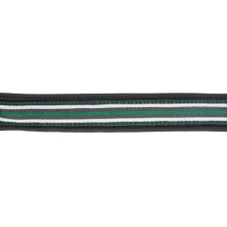 Licol en cuir Oxford X-Line Waldhausen noir Vert