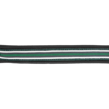 Licol en cuir Oxford X-Line Waldhausen noir Vert