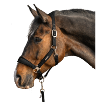 Licol et longe Waldhausen Velvet Noir