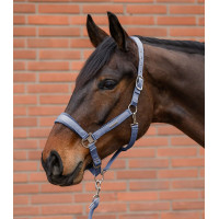 Licol et longe Waldhausen Velvet Bleu océan