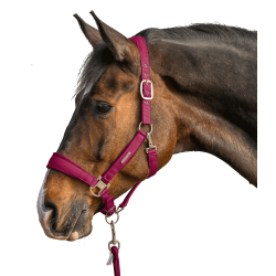 Licol et longe Waldhausen Velvet Grenade Rose