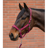 Licol et longe Waldhausen Velvet Noir