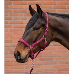 Licol et longe Waldhausen Velvet Grenade Rose