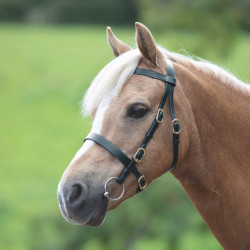 Bridon de présentation lisse Shires Velociti Gara Noir Bridon de présentation lisse Shires Velociti Gara Noir