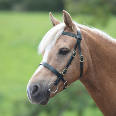 Bridon de présentation lisse Shires Velociti Gara Noir Bridon de présentation lisse Shires Velociti Gara Noir