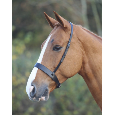 Caveçon Hunter Shires Velociti Gara Caveçon Hunter Shires Velociti Gara