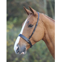 Caveçon Hunter Shires Velociti Gara