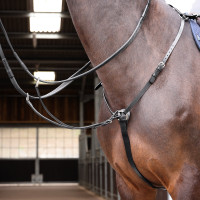 Collier de chasse Hunt Weight Shires Velociti Gara Noir