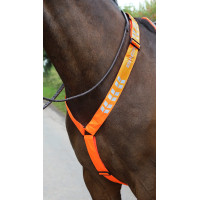 Collier de chasse Shires Equi-Flector® Orange vif