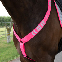 Collier de chasse Shires Equi-Flector® Rose vif