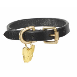 Collier pour chien en cuir plat Shires Digby & Fox Noir
