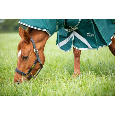 Couvre-cou d'extérieur Original 300 Shires Highlander Vert