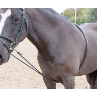 Enrênement de longe souple Shires Noir