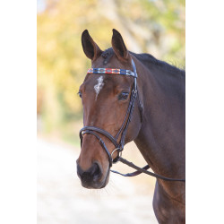 Frontal polo en cuir Shires Velociti Gara
