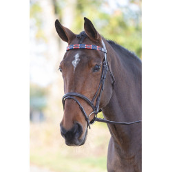 Frontal polo en cuir Shires Velociti Gara