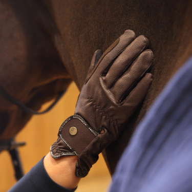 Gants d'équitation Stadium Shires Aubrion Marron Gants d'équitation Stadium Shires Aubrion Marron