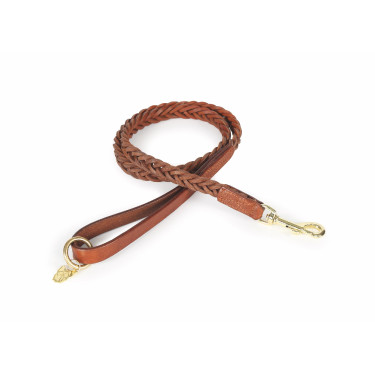 Laisse pour chien tressée Shires Digby & Fox
