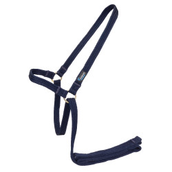 Licol et longe en sangle matelassée Shires Arma