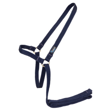 Licol et longe en sangle matelassée Shires Arma