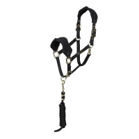Licol et longe polaire Shires Arma Noir