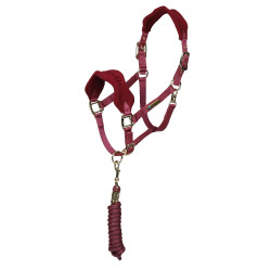Licol et longe polaire Shires Arma Bordeaux