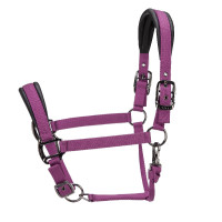 Licol matelassé Pro Shires Arma Bordeaux