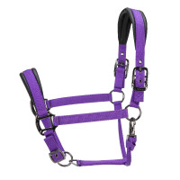 Licol matelassé Pro Shires Arma Violet