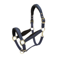 Licol matelassé Shires Arma Marine Bleu marine